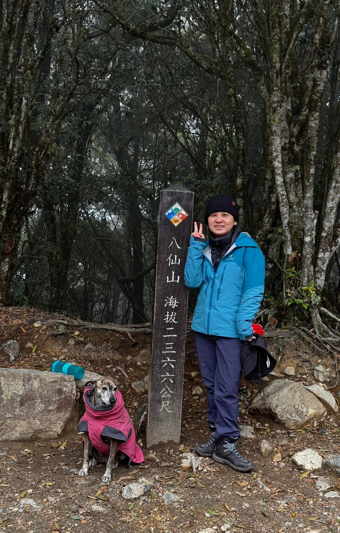 Goodhold顧好-S 1331376 0